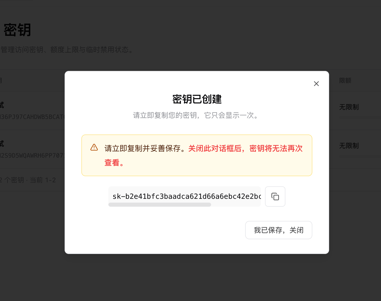 复制 API 密钥